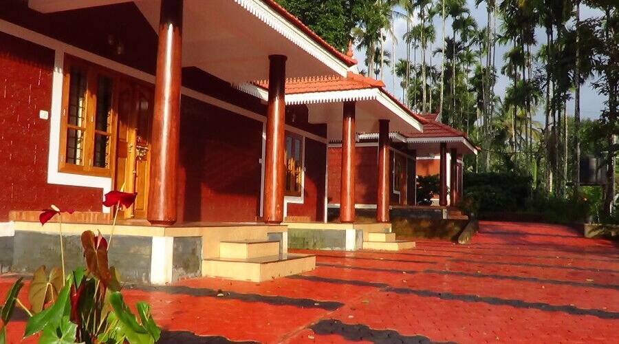 Pappy's Nest Resort, Wayanad 1